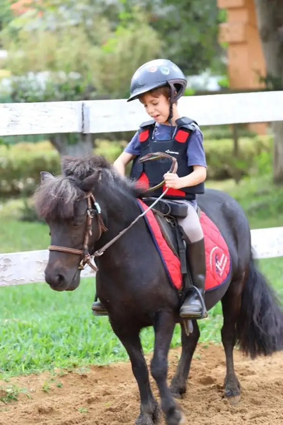 Goal Body & Horse Academy 10